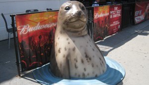 Vic-Sea-Pal-Sol-300x225