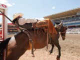Canadian Tourism Commission travels to Oz