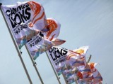 Young Lions juries revealed