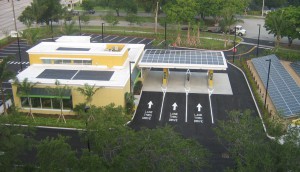 TD_Net-Zero_Branch