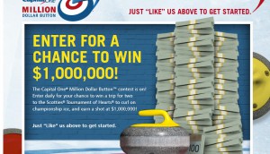 Copied from Media in Canada - Capital One