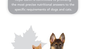 Royal Canin1