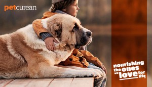 PetcureanCampaign20142_9548