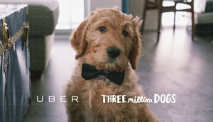 Uber