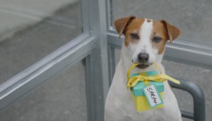 Fido