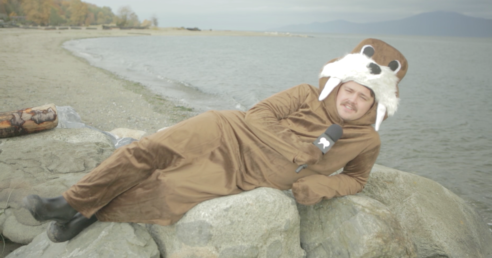 WalrusTalks_Hero_01