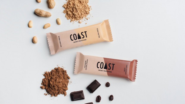 Chocolate & Peanut