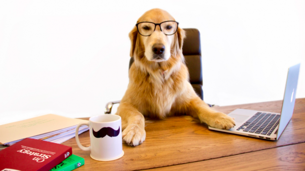 Global Pet Foods