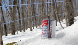 Federation of Quebec Maple Syrup Producers-A Bountiful Harvest f