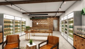 Spirit Leaf Inc--Spirit Leaf Inc- Unveils Concept Design for Rec