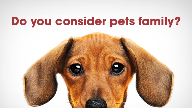 Global Pet Foods