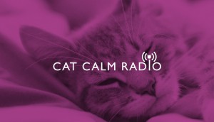 CatCalmRadio_Image_1