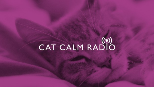 CatCalmRadio_Image_1