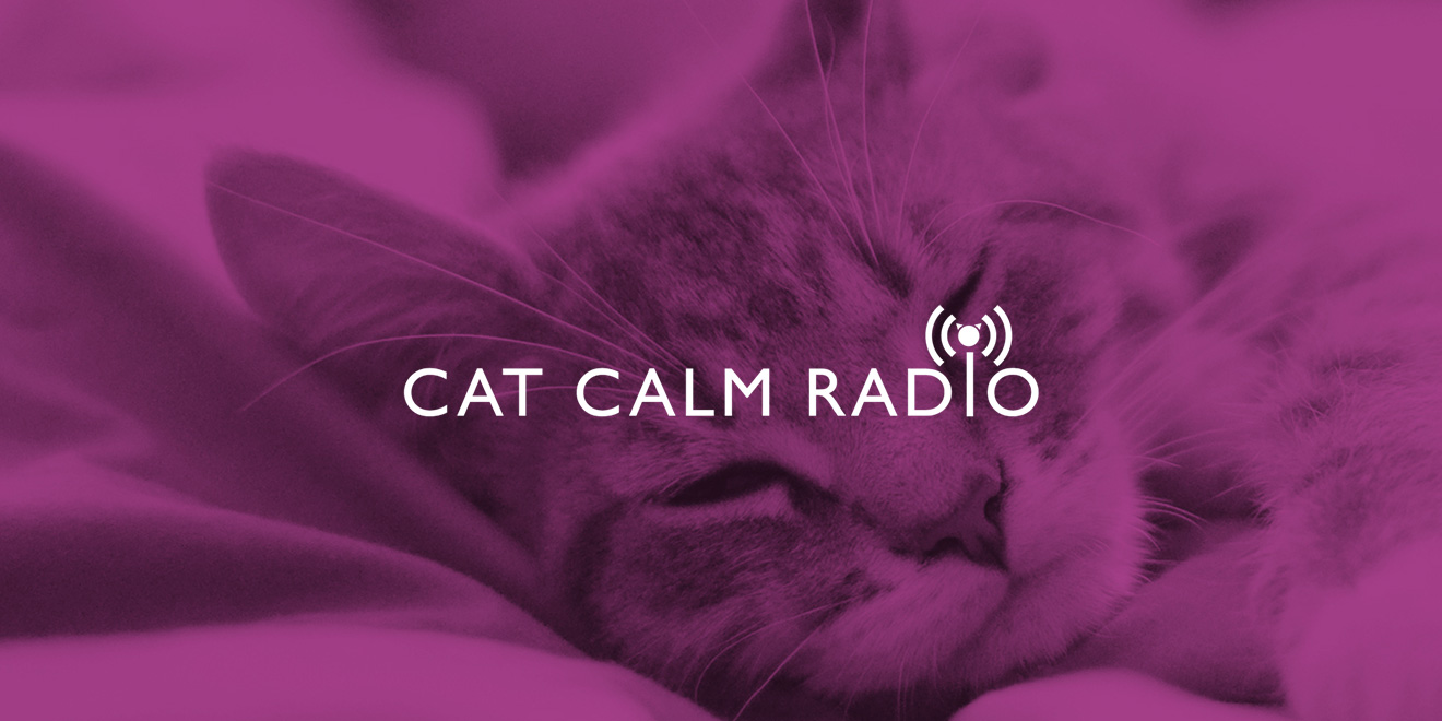 CatCalmRadio_Image_1