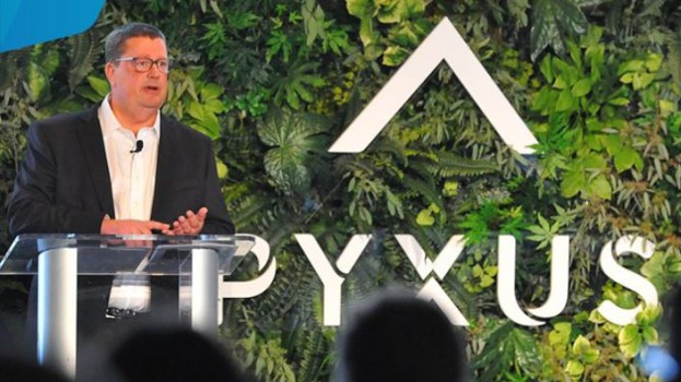 Pyxus