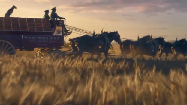 Budweiser