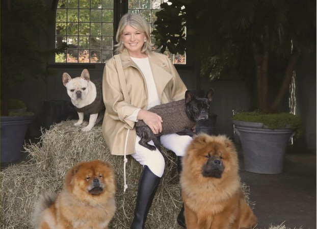 Canopy Growth Partners With Martha Stewart Strategy