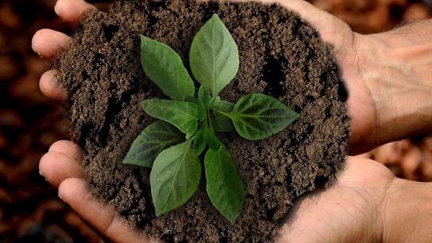 Sustainability