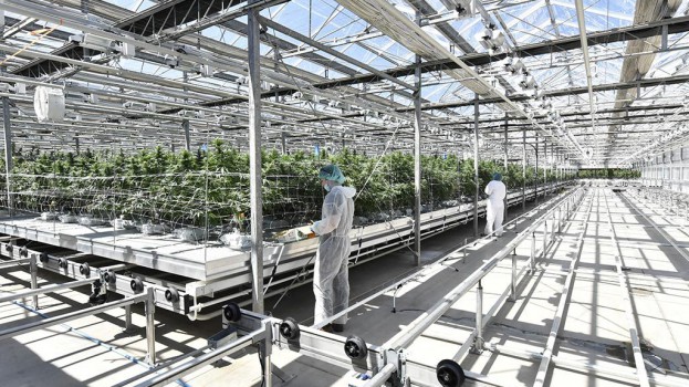 CannTrust-Facilities