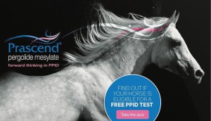 Lemieux Bédard’s expertise extends to the equally challenging animal pharma market too! Its campaign for Prascend used a smart quiz to increase awareness of an underdiagnosed equine disease.
It boosted sales by 37%.