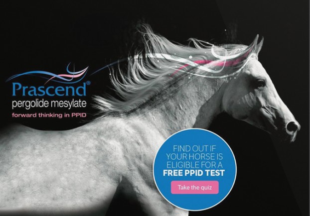 Lemieux Bédard’s expertise extends to the equally challenging animal pharma market too! Its campaign for Prascend used a smart quiz to increase awareness of an underdiagnosed equine disease. It boosted sales by 37%.