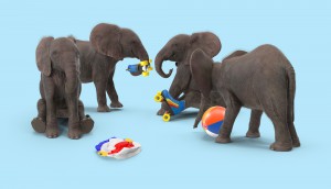 The Local Collective uses its social channels to prompt
response and to mirror cultural trends (thus the elephant
playtime post), which advances understanding and
insights as to what works in the space, versus the more
traditional approach of displaying office moments