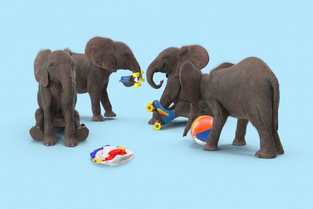 The Local Collective uses its social channels to prompt response and to mirror cultural trends (thus the elephant playtime post), which advances understanding and insights as to what works in the space, versus the more traditional approach of displaying office moments