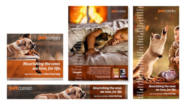 PetcureanCampaign20147_9372