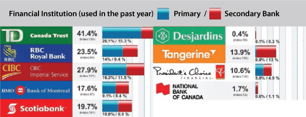 intelligentVIEW reports show the top banks used by target households.