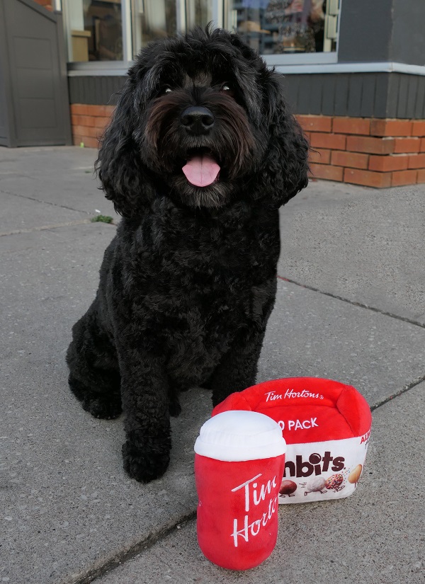 Stanley Cup Dog Toy