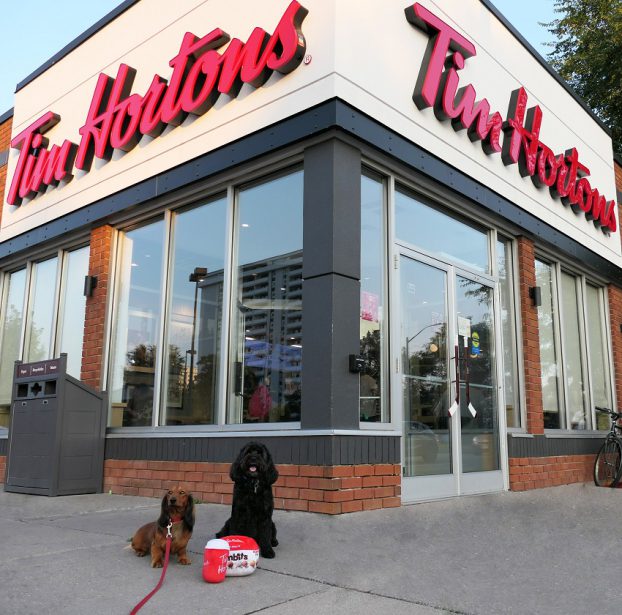 Tim Hortons latest merch drop is a pair of dog toys Strategy