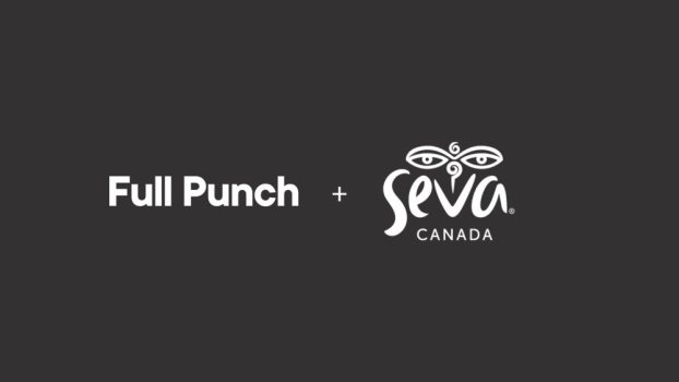 Agency Wins: Full Punch, King Ursa land non-profit mandates